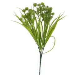 Busch Küstengras, Pompom/grün, 38 cm