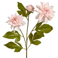 Dahlie Edel, 3 Blüten, rosa, 65 cm