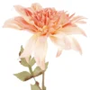 Dahlie Herbst, Antik/apricot, 74 cm