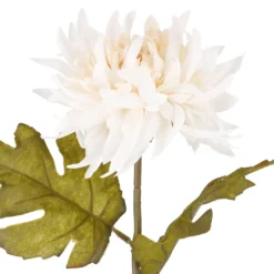 Dahlie Herbst, creme, 56 cm