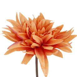 Dahlie Herbst, orange, 27 cm