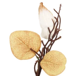 Deko-Stecker Physalis, creme, 16 cm