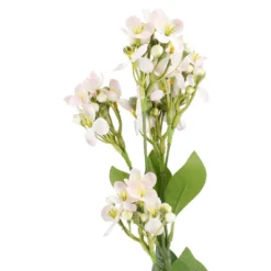 Flieder Edel, rosa, 51 cm
