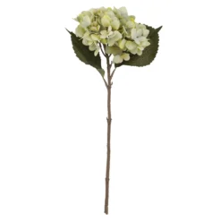 Hortensie Herbst, grün, 46 cm