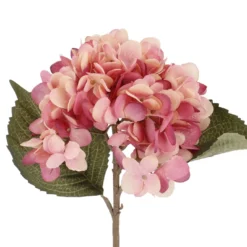 Hortensie Herbst, pink, 46 cm