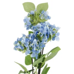 Hortensie Lily, blau, 55 cm