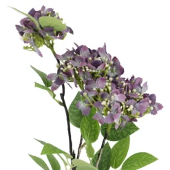 Hortensie Lily, lila, 55 cm