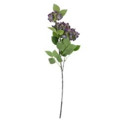 Hortensie Lily, lila, 55 cm