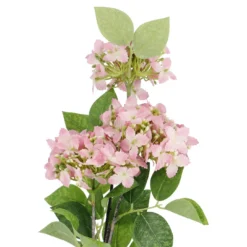 Hortensie Lily, rosa, 55 cm
