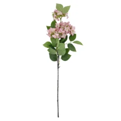 Hortensie Lily, rosa, 55 cm