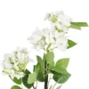 Hortensie Lily, weiß, 55 cm