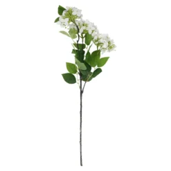 Hortensie Lily, weiß, 55 cm