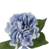 Hortensie Sophia, blau, 35 cm