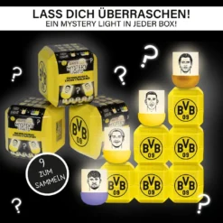LED Eggy's Mystery Light BVB Blind Box