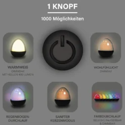 LED-Leuchte Ovo, Glas, 22 cm