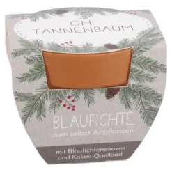 Pflanzset Tannenbaum, Mini/Oh Tannenbaum