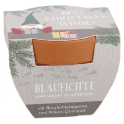 Pflanzset Tannenbaum, Mini/Wichtel