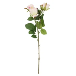 Rose Alina, 3 Blüten/rosa, 38 cm
