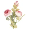 Rose Antik, 3 Blüten, creme/pink, 60 cm