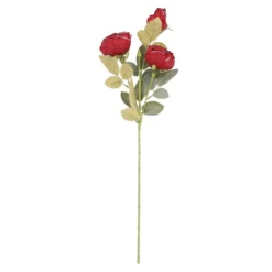 Rose Antik, 3 Blüten, dunkelrot, 60 cm