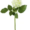 Rose, 30 cm, weiß