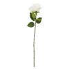 Rose Florence, creme, 51 cm