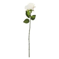 Rose Florence, creme, 51 cm