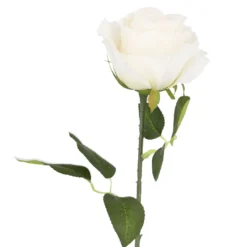 Rose Florence, creme, 51 cm
