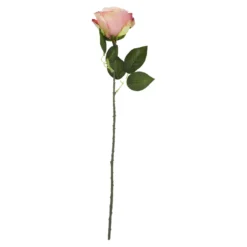 Rose Florence, pink, 51 cm