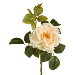 Rose Herbst, offen/creme, 42 cm