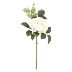 Rose Herbst, offen/creme, 42 cm
