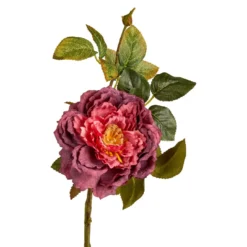Rose Herbst, offen/weinrot, 42 cm