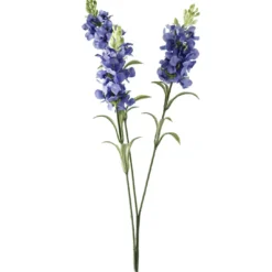 Schopflavendel, 3 Blüten, blau, 65 cm