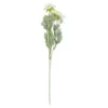 Skabiose, 3 Blüten, weiß, 48 cm