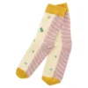 Socken Ramen in Box, Größe 35-42