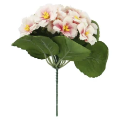 Strauß Primel, 12 Blüten, rosa, 20 cm