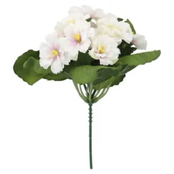 Strauß Primel, 12 Blüten, weiß/pink, 20 cm