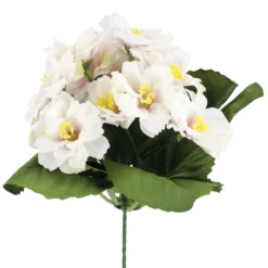 Strauß Primel, 12 Blüten, weiß/pink, 20 cm