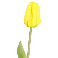 Tulpe Edel, gelb, 48 cm