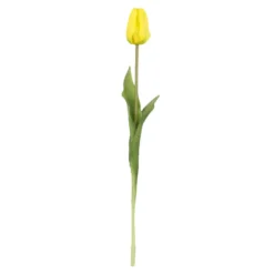 Tulpe Edel, gelb, 48 cm