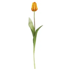 Tulpe Edel, orange, 48 cm