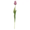 Tulpe Edel, rosa, 48 cm