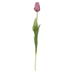 Tulpe Edel, rosa, 48 cm