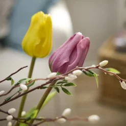 Tulpe Edel, rosa, 48 cm
