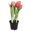 Tulpen im Topf, rosa, 25 cm