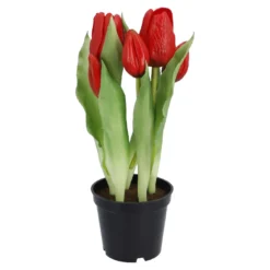 Tulpen im Topf, rot, 25 cm